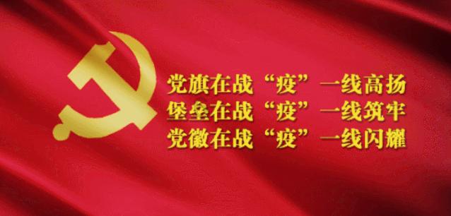拯救受伤的猫